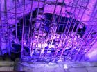 IMG_0377 (1)