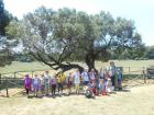 Izlet Brijuni 069