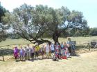 Izlet Brijuni 070
