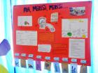 Izlet Krapina-Projektni Dan 084