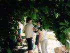 IMG_0398 (1)