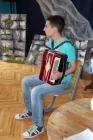 Harmonika Web