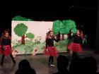 LiDraNo2017035