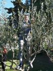 FB_IMG_1518797743741