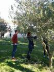 FB_IMG_1518797750704