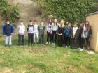 IMG-51d98deee351cc6a72709a4f54291d35-V