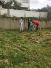 IMG-884668b82f8e87fb0a497dd278c972da-V
