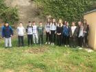 IMG-De9304b4b8e5b25d9ff70237f4f34750-V