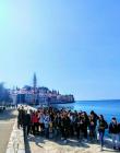 IMG-796594d39abba0f5adbed7286b261b29-V