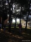 09-IMG_4776