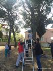 11-IMG_4778