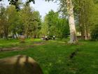 20180424_085509