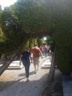 IMG-81ae99532adbe7d4edd3fa5af4684126-V