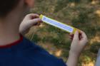 IMG_4772 (1024x683)