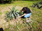 IMG_20190417_101539 (800x600)