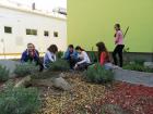 IMG_20190417_101552 (800x600)
