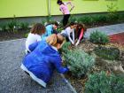 IMG_20190417_101602 (800x600)