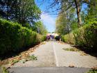IMG_20190417_101654 (800x600)