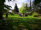IMG_20190417_101743 (800x600)
