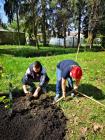 IMG_20190417_101820 (600x800)
