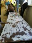 IMG_20190417_102147 (600x800)