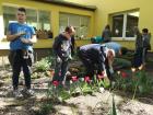 IMG_20190417_110839 (800x600)