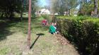 IMG-4fc5fbe5c81564ff33d566a51f5ed0d4-V (1024x576) (800x450)