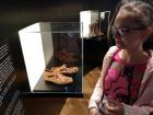 IMG_20190530_112223 (800x600)