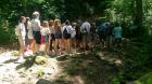 IMG-6feae7646d798924215cc1f246cef381-V