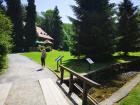 IMG_20190612_111740 (800x600)