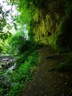 IMG_20190612_113523 (600x800)