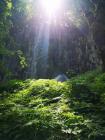 IMG_20190612_120939 (600x800)