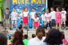 IMG_0236 (800x533)