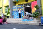 IMG_0282 (800x533)