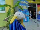 IMG_20190614_173610 (800x600)
