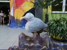 IMG_20190614_173628 (800x600)