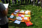 IMG_0443 (800x533)
