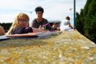 IMG_0454 (800x533)
