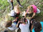 IMG_20191016_114030 (800x600)