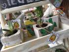IMG_20220506_085625