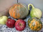 IMG_20221014_095501171