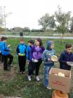 IMG_20161018_113812