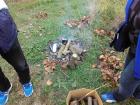 IMG_20161018_113911