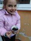 IMG_20161017_103203