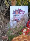 IMG_20190413_095412