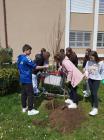 IMG-20230420-WA0004