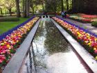 Keukenhof