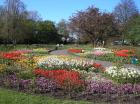 Keukenhof
