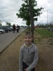 SAM_3226