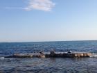 IMG_6258
